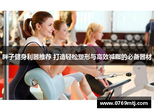 胖子健身利器推荐 打造轻松塑形与高效减脂的必备器材